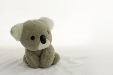 Koala bear doll sitting on white background.