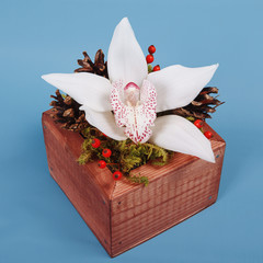 Background with flowers pink orchid on blue painted wooden planks. Place for text. Top view with...