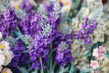 Purple flowers background.