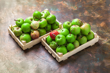 Green organic large apples group in two wooden boxes on painted brown background in studio