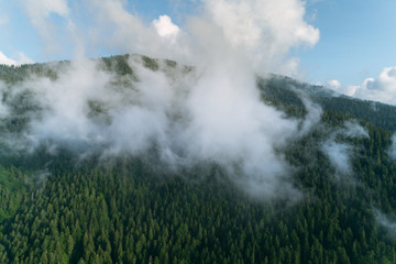 Aerial view of Carpathian mountains. Ukraine, Europe. Concept ecology protection.