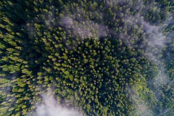 Aerial view of Carpathian mountains. Ukraine, Europe. Concept ecology protection. Top view