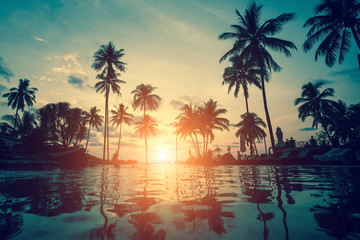 Obraz na płótnie Canvas Silhouettes of palm trees during an amazing sunset on a tropical beach.