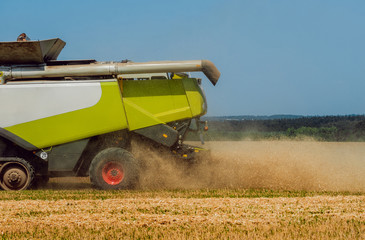 Combine harvester in action on wheat field. Process of gathering a ripe crop.