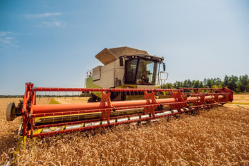 Combine harvester in action on wheat field. Process of gathering a ripe crop.