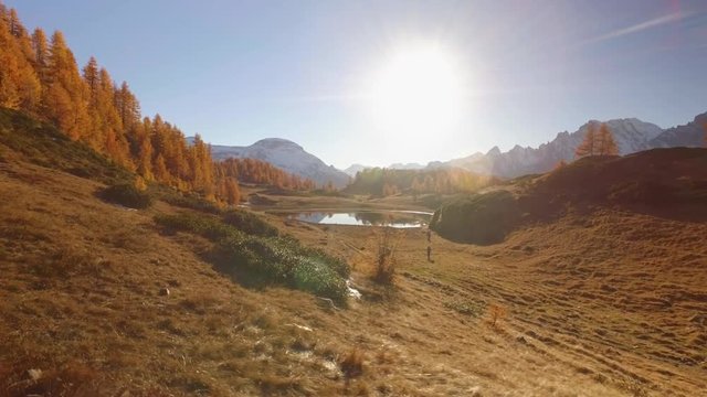 side POV walking on fall field path near lake with sun and snowy mounts.Sunny autumn day Hiking in colorful red forest wild nature mountain outdoors.Alps Devero.4k point of view establishing video