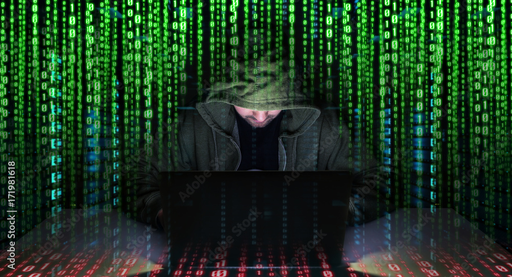 Leinwandbilder Hacker accessing to personal data information with a computer 3D rendering
