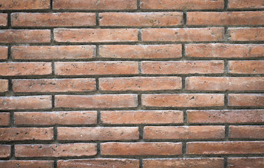 Brick wall background ( wall texture )