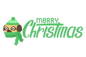Happy puppy pug in scarf. Flat dog in hat with text merry christmas lettering