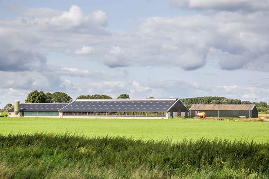 Modern open Dutch farm
