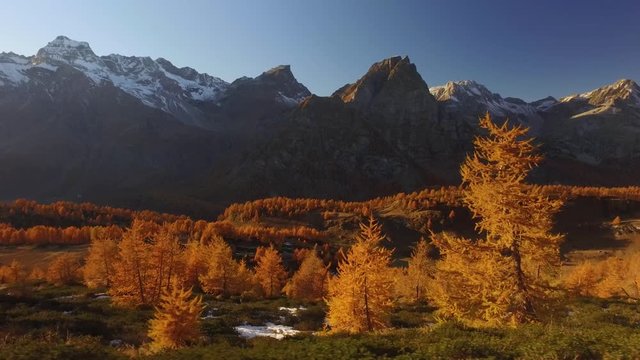side POV walking on fall woods path near trees with sun and snowy mounts.Sunny autumn day Hiking in colorful red forest wild nature mountain outdoors.Alps Devero.4k point of view establishing video