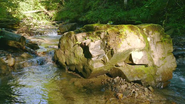4K. Mountain  stream  in wood  with  big stone. 