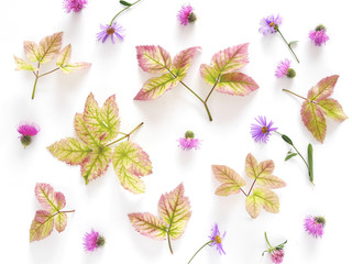 Pattern of autumn leaves and flowers. Autumn floral background.