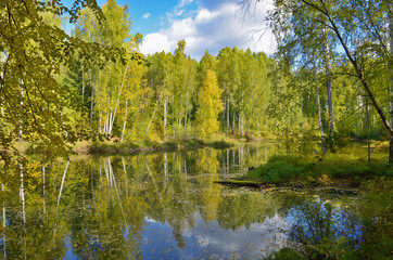 Fototapeta na wymiar Autumn landscape colorful deciduous forests on the banks of rivers, lakes.