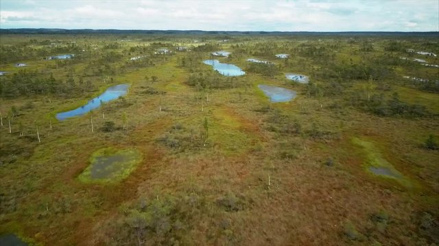 Amazing Aerial View of Kemeri National Park Peat Bog, Wooden Trail, Small Lakes, Green Forest