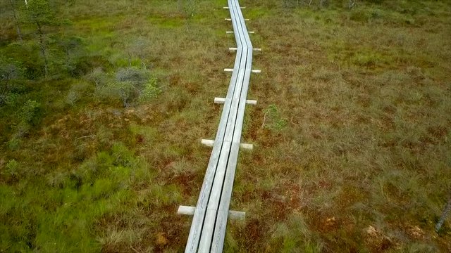 Amazing Aerial View of Kemeri National Park Peat Bog, Wooden Trail, Small Lakes, Green Forest