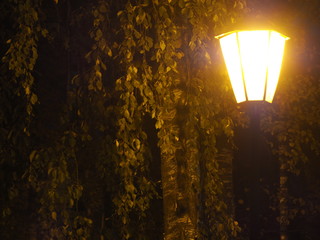 Street lamp at dusk.