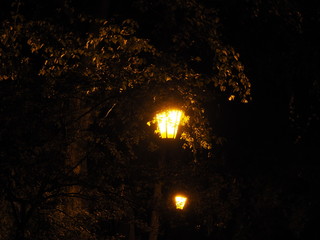 Street lamp at dusk.