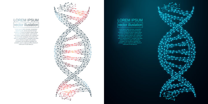 Polygonal DNA abstract image. Low poly wireframe