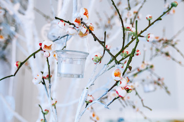 Fototapete bei efototapeten.de bestellen   