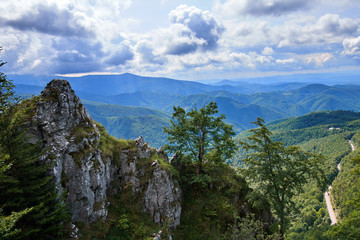 Obraz premium Mountains covered in forests