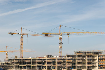 Construction site with houses and steel cranes