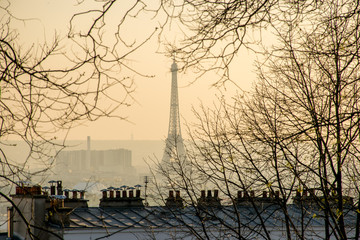 City of Paris view with the Eiffel Tower and Parisian rooftops