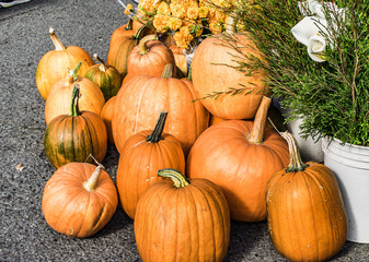 Pumpkins at Farmer Market fall afternoon autumn