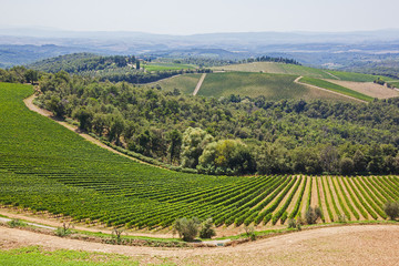 Beautiful Tuscany landscape with picturesque vineyards in the Chianti region,Tuscany, Italy