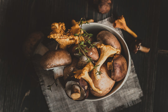 Fresh mixed forest mushrooms on the wooden black table