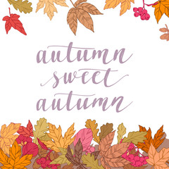 Lettering and decorative elements. Vector illustration for your design on light background.