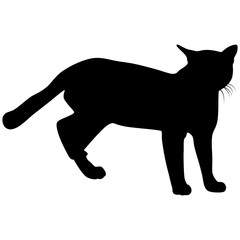 Black silhouette of cat. Vector illustration.