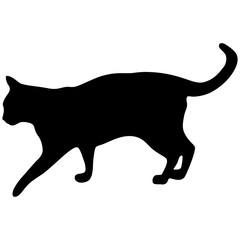 Black silhouette of cat. Vector illustration.