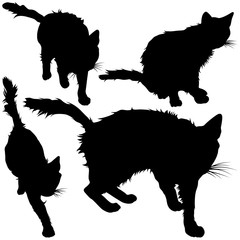 Black silhouette of cat. Vector illustration.