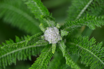 Trip to Washington, Oregon, USA