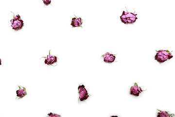 Dry flowers roses, scattered in a chaotic manner, isolated on white background.