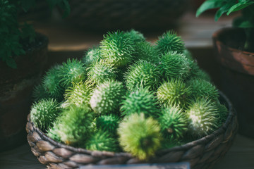 Wattled basket with heap of ripe green Cucumis anguria  shallow depth of field  dark settings © skyNext