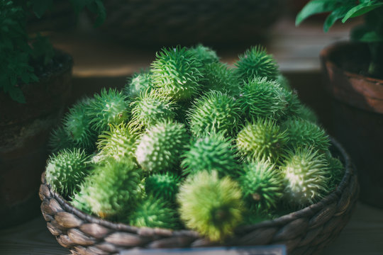 Wattled basket with heap of ripe green Cucumis anguria; shallow depth of field; dark settings