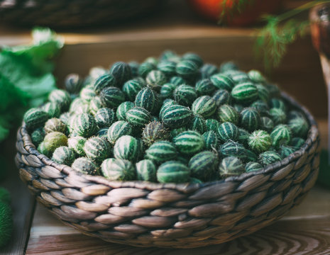 Wattled basket with heap of ripe Cucumis myriocarpus: green and spiny vegetable also called gooseberry cucumber or gooseberry gourd, or paddy melon; shallow depth of field