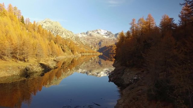 side POV walking on fall woods path near lake and trees with snowy mounts.Sunny autumn day Hiking in colorful red forest wild nature mountain outdoors.Alps Devero.4k point of view establishing video