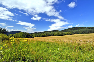 Fototapeta premium Rural landscape in countryside of Beskid Niski, Poland