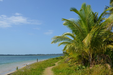 Fototapeta na wymiar Weg am Meer in Bocas del Toro, Panama