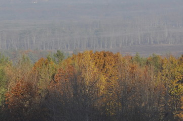 Fototapeta premium Autumn New England