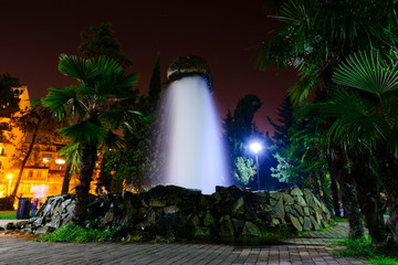 Amazing garden landscape with showy fountain and night sky with stars