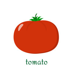 Tomato. Isolated vegetables on white background