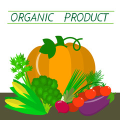 Set of vegetables. Organic vegetarian healthy food isolated on white background. Vector.