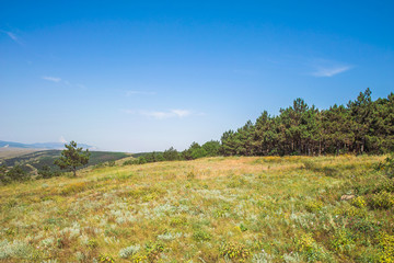 Fototapeta premium Beautiful Crimean mountain landscape