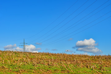 Stoppel im Feld. Leitung mit Spannung, Elektrizität und Energie