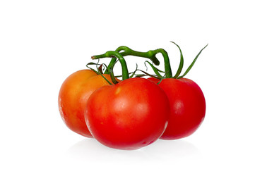 Tomato