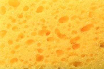 Bright yellow sponge texture